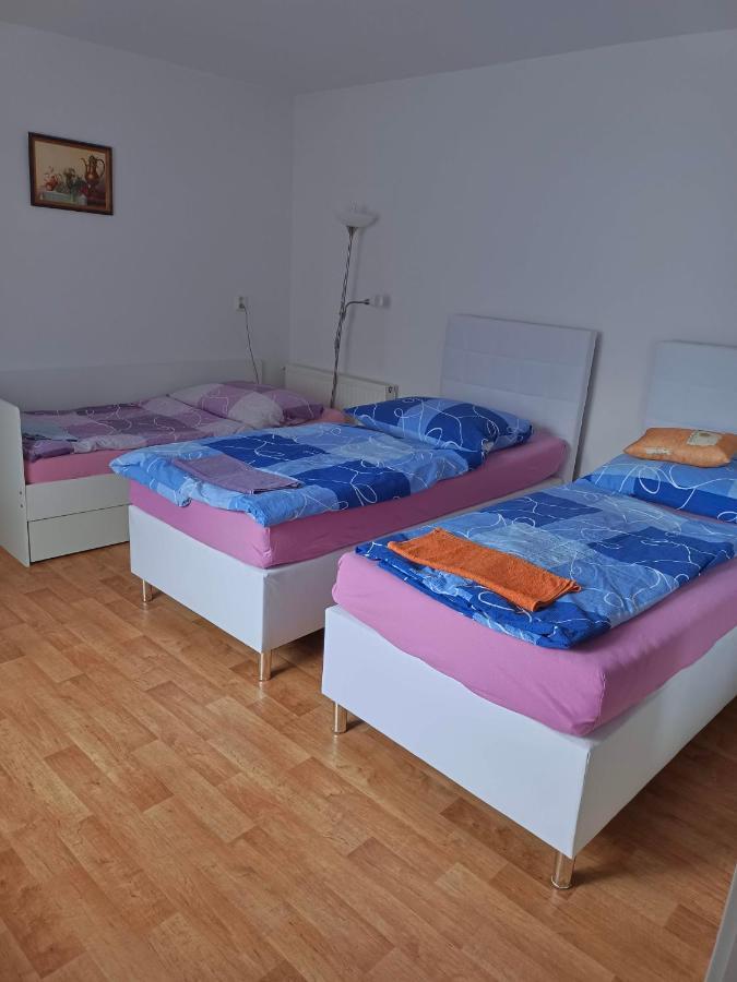 Penzion Na Samote Kaplice Exterior photo